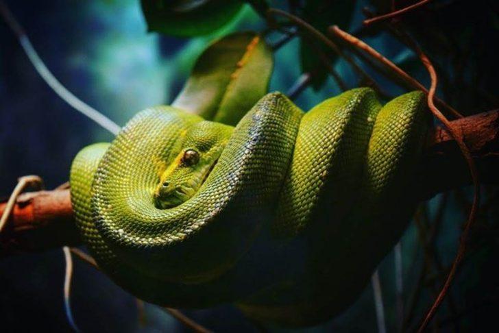 Onlar Instagram'ın en iyileri! Aralarında Türk de var G3