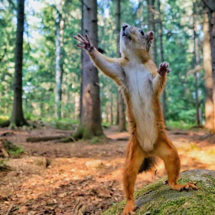 Onlar Instagram'ın en iyileri! Aralarında Türk de var G4