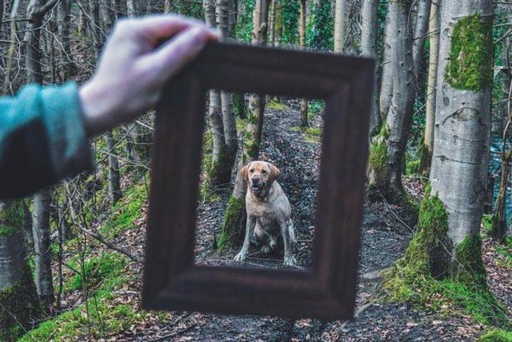 Onlar Instagram'ın en iyileri! Aralarında Türk de var G5