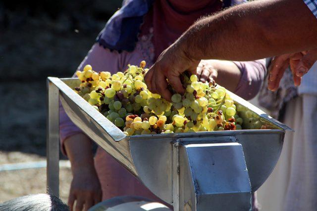 Elazığ'da, köylülerin 'orcik' mesaisi