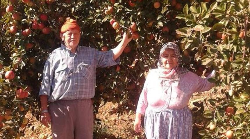 Simav&rsquo;da elma bereketi, bir ağa&ccedil; yaklaşık 500 kilo &uuml;r&uuml;n veriyor