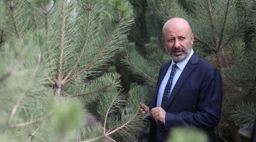 Kocasinan yeşilleniyor, Kayseri g&uuml;zelleşiyor