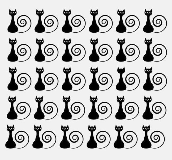 Bu karedeki farkı bulabildiniz mi?  G2