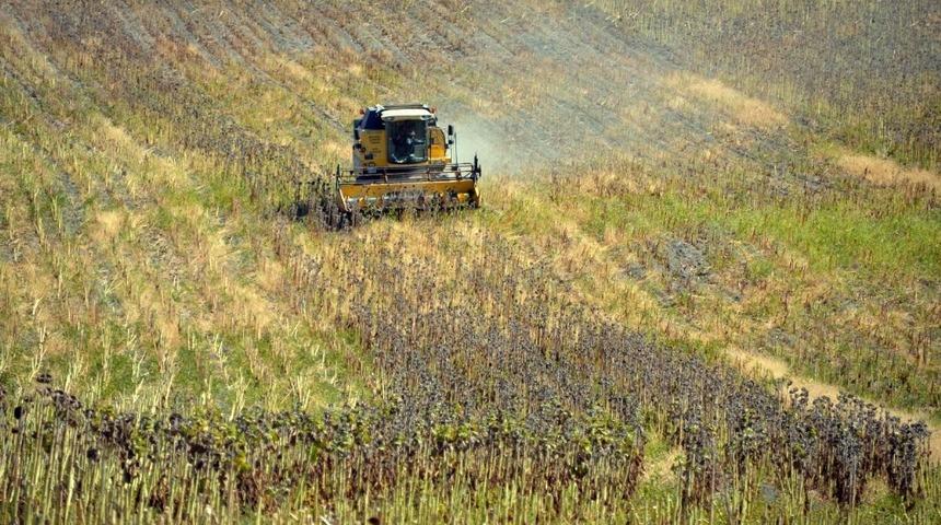 Muş&rsquo;ta ay&ccedil;i&ccedil;eği hasadı