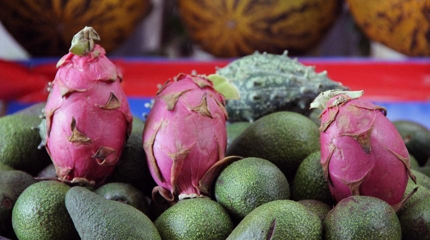 Ejder meyvesini soran çok, alan yok