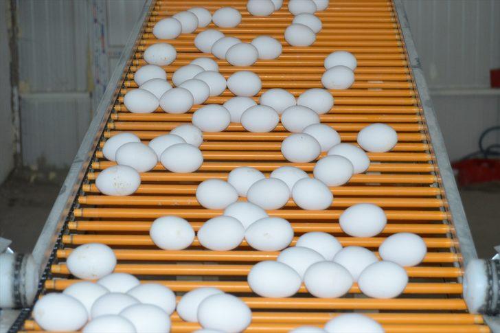 TKDK desteğiyle modernize ettiği çiftlikte ihracata başladı  G5