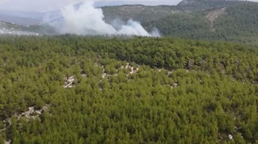 Yangına 42 ara&ccedil;la anında m&uuml;dahale ettiler