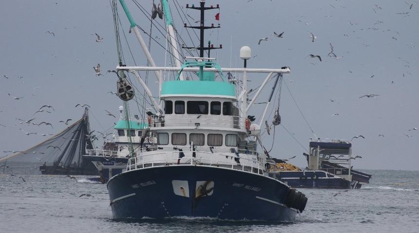 Tüm Türkiye’ye palamut Karadeniz’den gidiyor