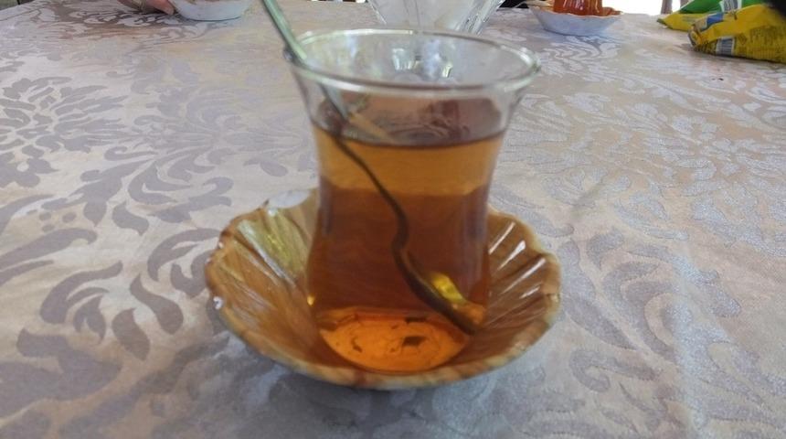 Kazdağı kekiği şifa kaynağı