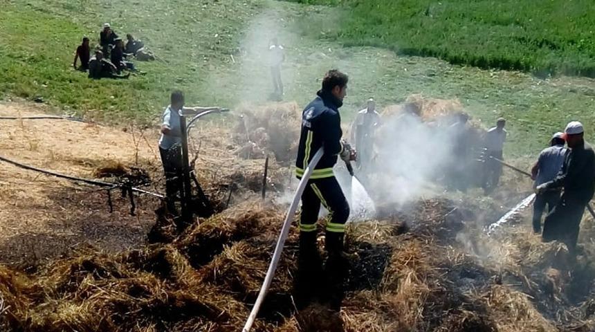 Başkale&rsquo;de 2 bin bağ ot k&uuml;l oldu