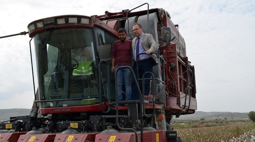 Didim&rsquo;de pamuk hasadı başladı