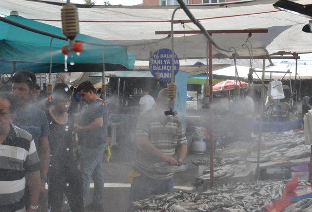 Taze balık için fıskiyeli çözüm