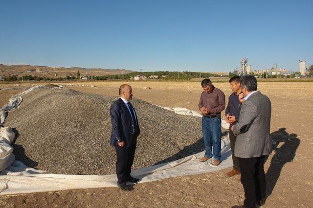 Tarım ve Orman İl Müdürü Yıldız Ayçiçeği hasadına katıldı