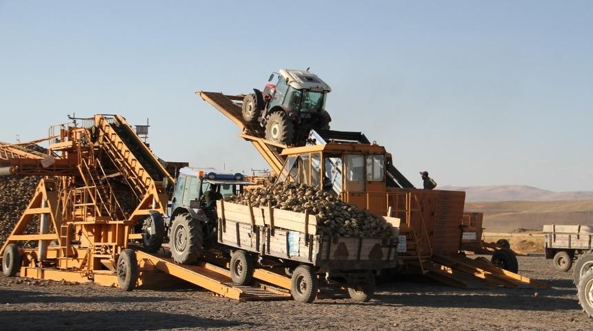 Malazgirt&rsquo;te pancar alımları başladı