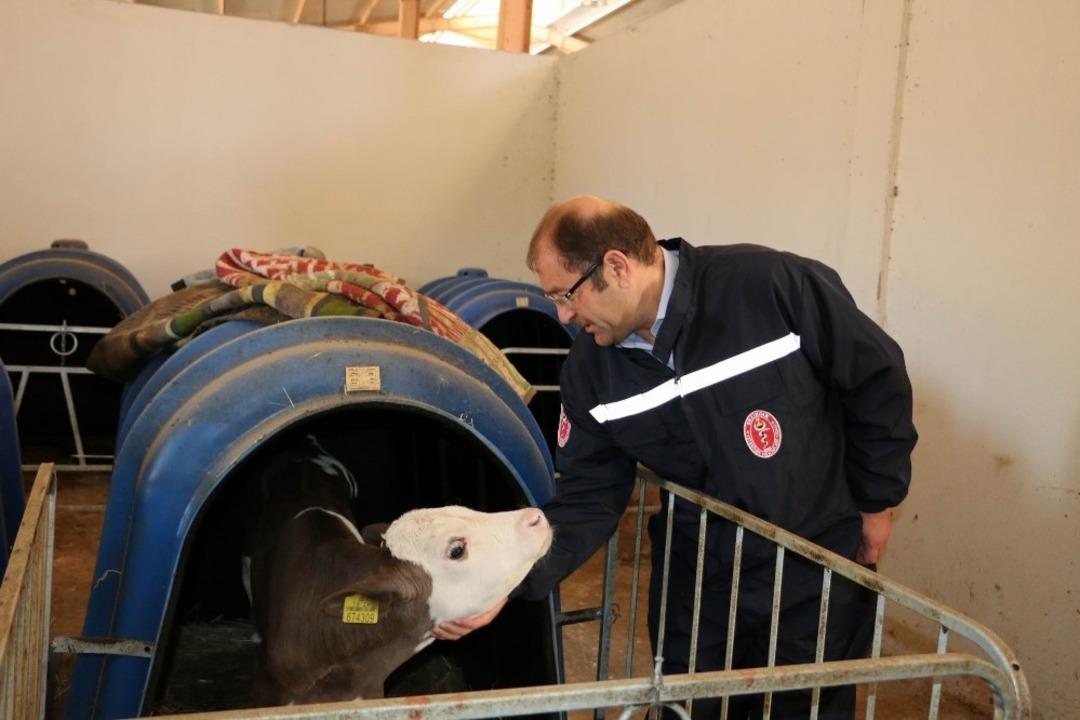 Erzincan&rsquo;da Şap Aşılama Kampanyası Başladı