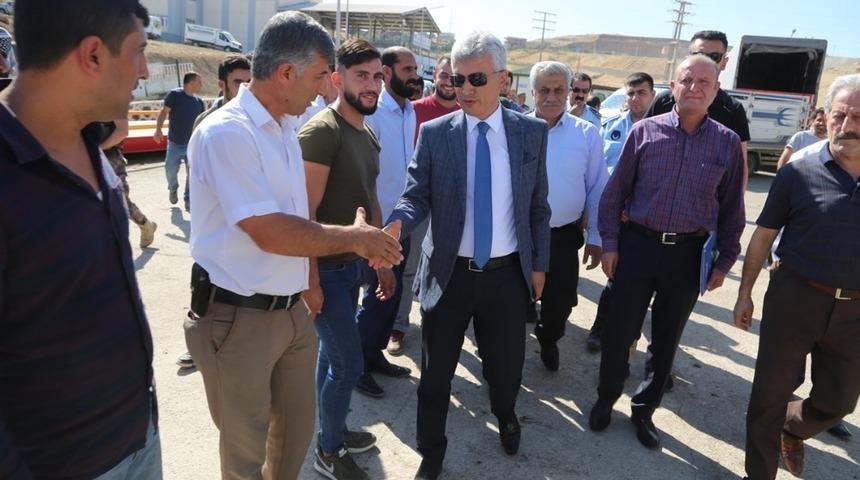 Cizre&rsquo;de 20 &ccedil;ift&ccedil;iye 100 adet dişi d&uuml;ve dağıtıldı