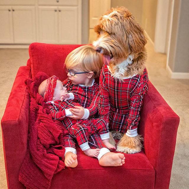 Evlatlık çocuk ve evlatlık köpek