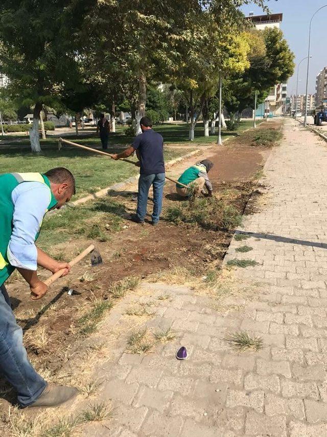 Birecik’te yeşil alan çalışmaları sürüyor