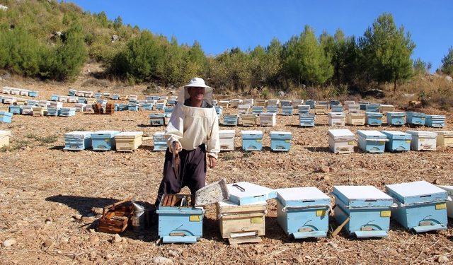 Uluslar arası arıcılık Kongresi 15-19 Ekim’de