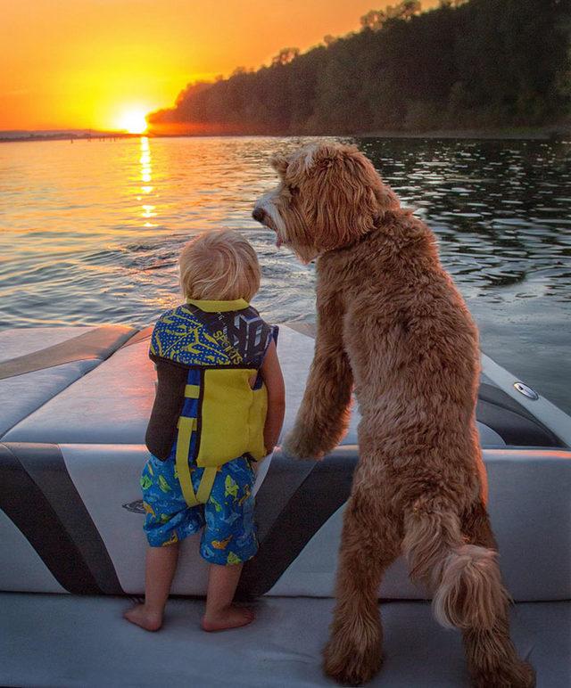 Evlatlık çocuk ve evlatlık köpek
