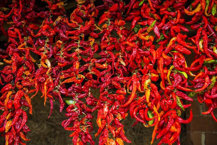 Acısına katlanacaklar için kırmızı kuru biberin 7 önemli şifası G2