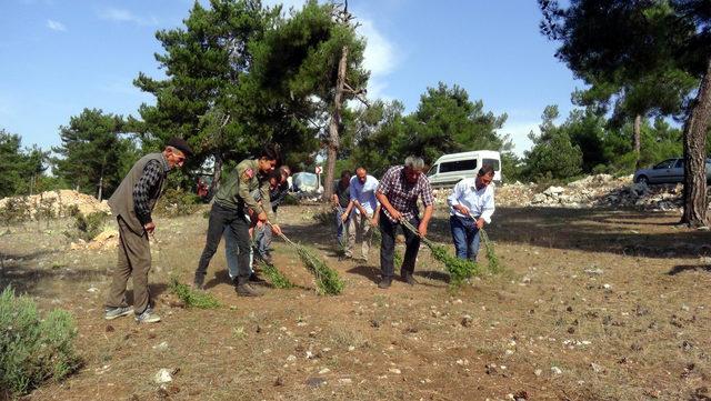 Kültür Varlıkları Kurulu'nun dikkatini çekmek için süpürgeli eylem