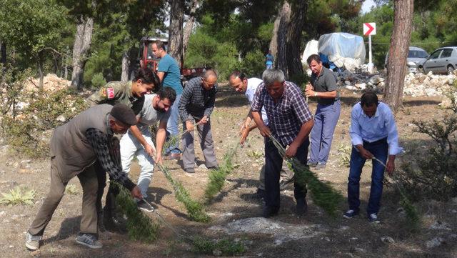 Kültür Varlıkları Kurulu'nun dikkatini çekmek için süpürgeli eylem