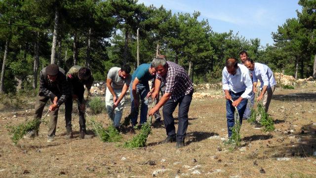 Kültür Varlıkları Kurulu'nun dikkatini çekmek için süpürgeli eylem