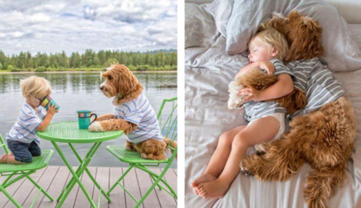 Evlatlık &Ccedil;ocukla Evlatlık K&ouml;peğin Aşırı Tatlı Hikayesi!