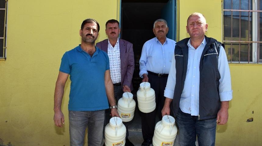 Muş&rsquo;tan d&uuml;nyaya peynir ihracatı