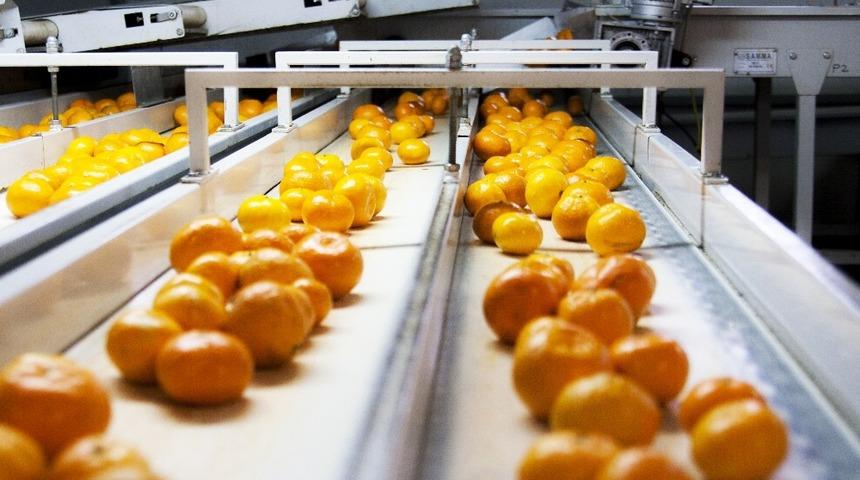 Ruslar, T&uuml;rkiye&rsquo;den narenciye &uuml;r&uuml;nleri ve nar bekliyor