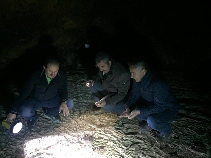 Vali Pehlivan, ilkokul, ortaokul ve Çimağıl Mağarası’nda incelemelerde bulundu G4