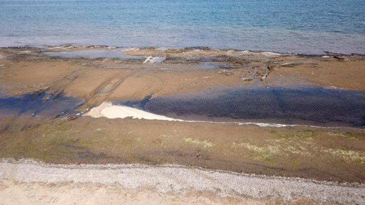 Yalova'da deniz 25 metre çekildi! Depremin habercisi mi? G4