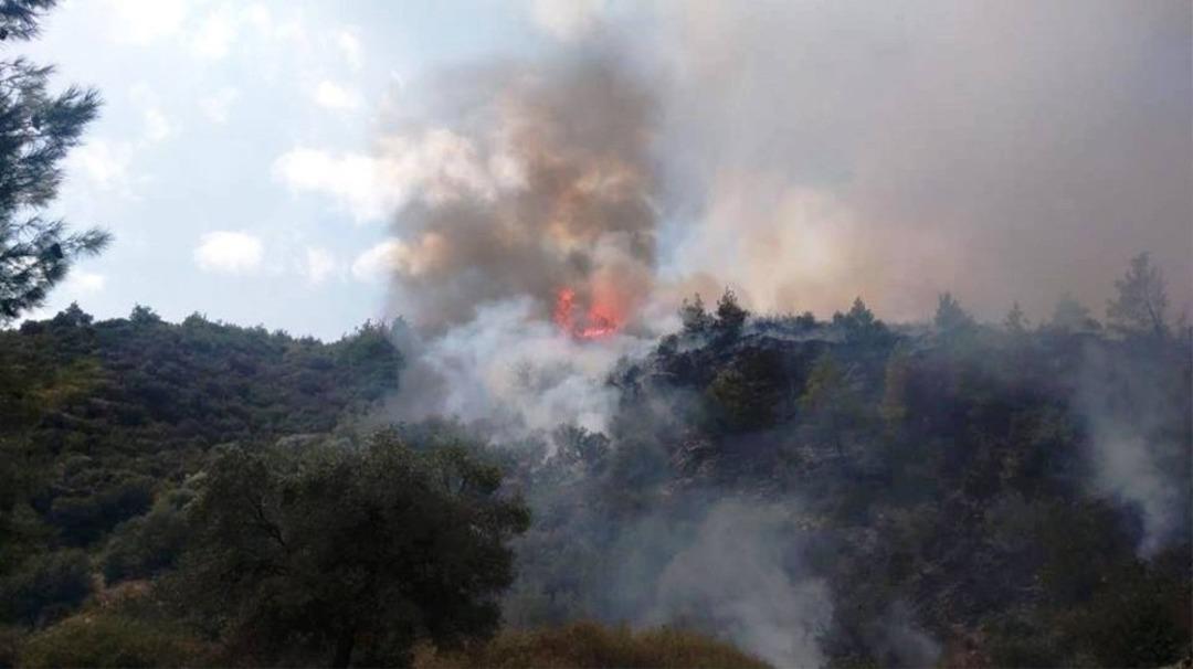 Yenipazar&rsquo;da 3 g&uuml;n arayla aynı b&ouml;lgede 2. yangın