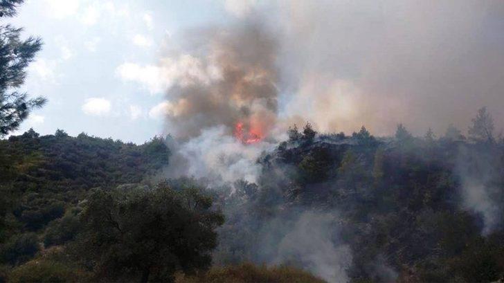 Yenipazar’da 3 gün arayla aynı bölgede 2. yangın G1