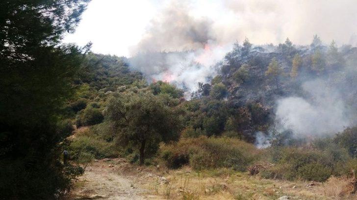 Yenipazar’da 3 gün arayla aynı bölgede 2. yangın G2