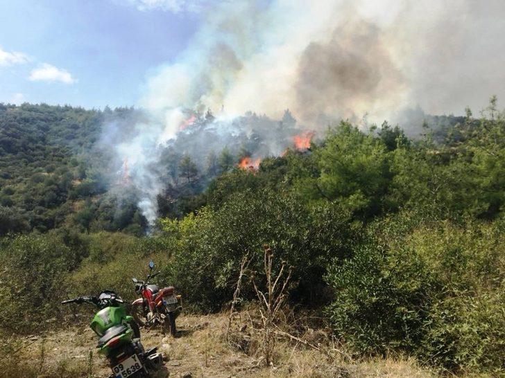 Yenipazar’da 3 gün arayla aynı bölgede 2. yangın G4