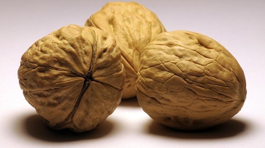 Sedefe İyi Gelen Yiyecekler