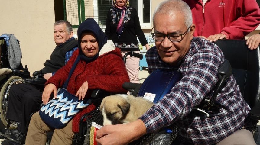 Engelleri hayvan sevgisiyle aşıyorlar