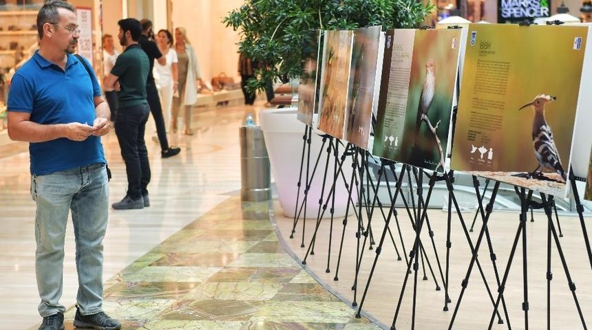 Başkent&rsquo;in kuşları g&ouml;r&uuml;c&uuml;ye &ccedil;ıktı