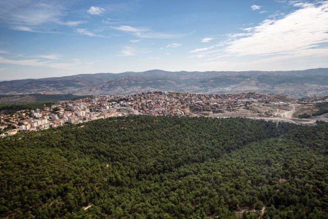 G&ouml;rdes&rsquo;in y&uuml;zde 51&rsquo;i orman alanı