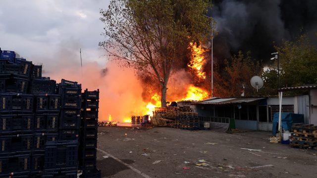 Sebze kasaları, alev alev yandı