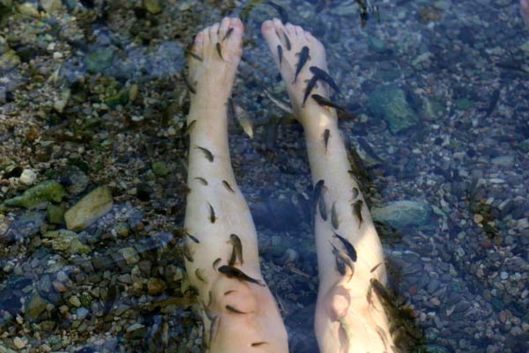 Yer Sivas! Hayran kaldılar... 