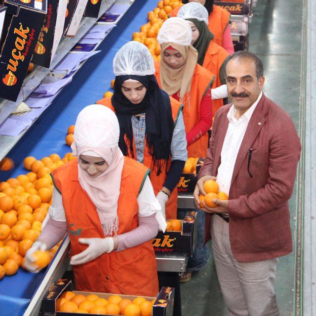 Satsuma mandalina için ilk ihracat tırı 8 Ekim'de yola çıkacak