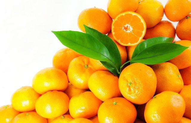 Satsuma mandalina için ilk ihracat tırı 8 Ekim'de yola çıkacak