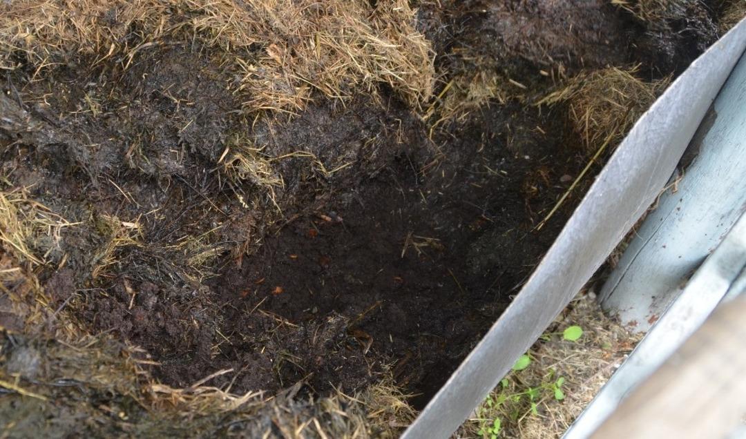 Bafra Tarım Lisesi hedef b&uuml;y&uuml;t&uuml;yor