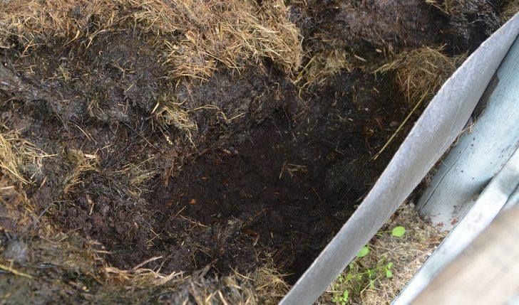 Bafra Tarım Lisesi hedef büyütüyor G1