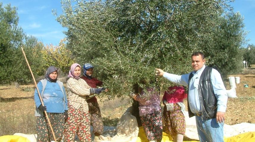 Burhaniye&rsquo;de korkulan olmadı