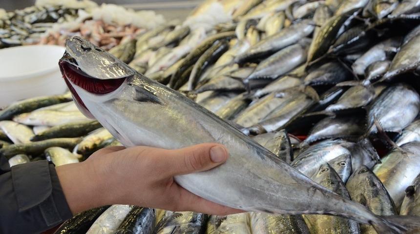 Palamutun fiyatı 10 TL&rsquo;ye d&uuml;şt&uuml;