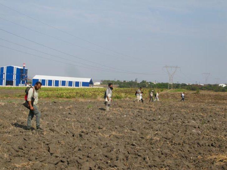 Manyas Gölü yakınlarında heyecanlandıran kazı!  G1